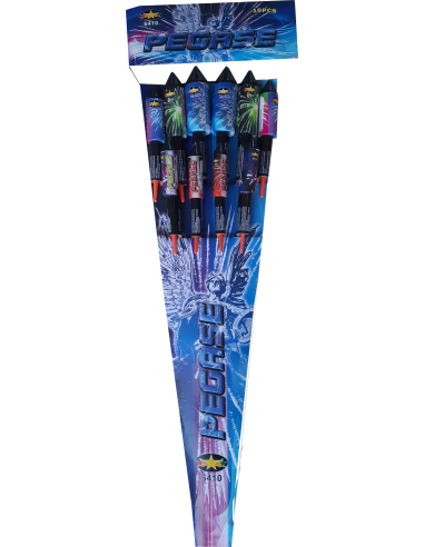 Fusées Pegase (pack de 10)